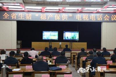 襄州区集中收听收看全省生猪“稳产保供”电视电话会议