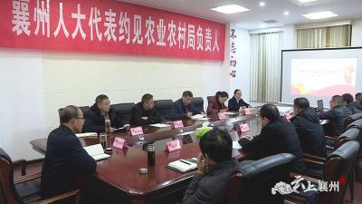 襄州区人大代表约见区农业农村局主要负责人  