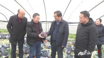 襄州区领导检查节前农业安全生产工作