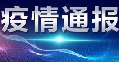 襄州区关于新型冠状病毒感染肺炎疫情通告(13）