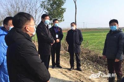 张丛玉到襄州区检查禽流感防控和非洲猪瘟防控工作