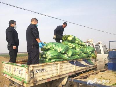 【捐赠 | 感恩有你】襄州退役军人为困难群众募集4万斤蔬菜  用爱心传递温暖