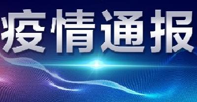 襄阳市新型冠状病毒肺炎疫情通报（35）