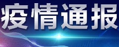 襄阳市新型冠状病毒感染的肺炎疫情通报（17）