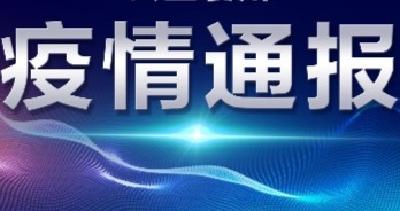襄阳市新型冠状病毒肺炎疫情通报（33）