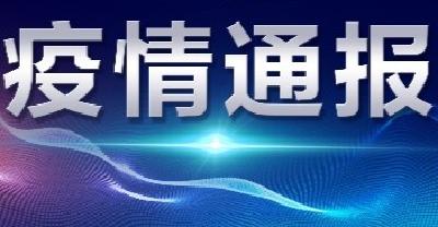 襄阳市新型冠状病毒肺炎疫情通报（29）