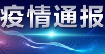 襄阳市新型冠状病毒肺炎疫情通报（27）