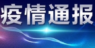 襄阳市新型冠状病毒肺炎疫情通报（45）