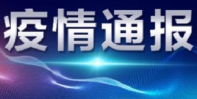 襄阳市新型冠状病毒肺炎疫情通报（55）