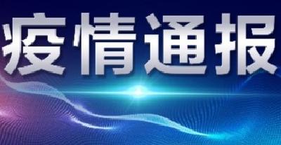 襄阳市新型冠状病毒肺炎疫情通报（57）