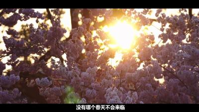 武汉战“疫”全景纪录片《英雄之城》