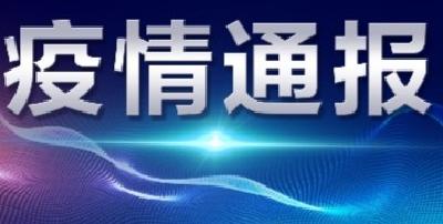 襄阳市新型冠状病毒肺炎疫情通报（51）