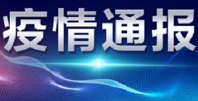 襄阳市新型冠状病毒肺炎疫情通报（69）