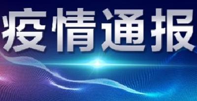 襄阳市新型冠状病毒肺炎疫情通报（62）