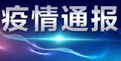 襄阳市新型冠状病毒肺炎疫情通报（61）