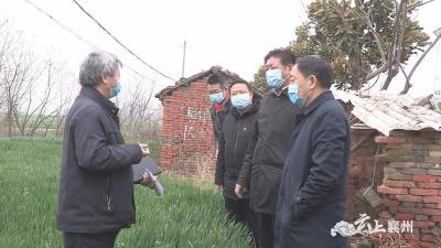 市领导到襄州区调研农作物病虫害防治工作