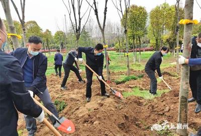 春光一派植树忙：襄州区领导参加义务植树活动