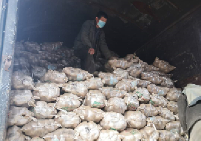 倾囊相助 宁夏老区给襄阳送来了2000000个土豆 可以排80公里长