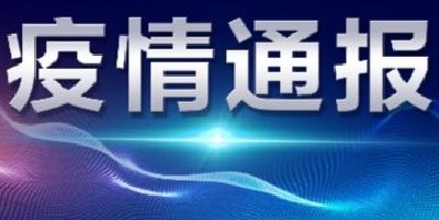 襄阳市新型冠状病毒肺炎疫情通报（65）