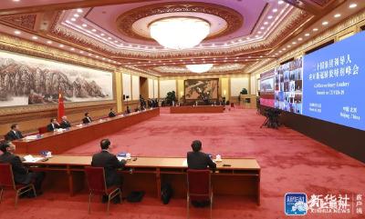 习近平在二十国集团领导人特别峰会上的重要讲话（全文）
