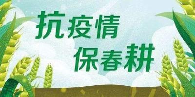 襄州：做实做细监督 战“疫”扶贫两手抓