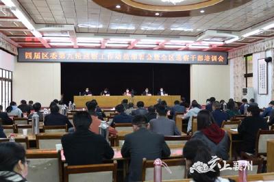 四届区委第九轮巡察工作动员部署会暨全区巡察干部培训会召开