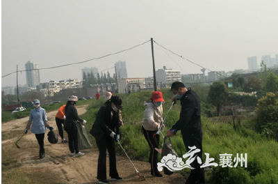 襄州区河道堤防服务中心积极开展爱国卫生运动