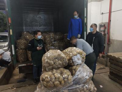 万千小土豆奔赴永辉！ 襄州区供销社扩建农产品销售平台