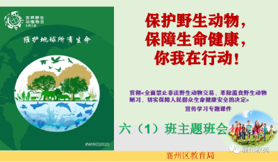 襄州一中附属学校：保护野生动物，从我做起！