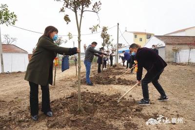 襄州区黄龙镇：人大代表开展义务植树活动