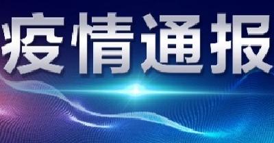 襄阳市新型冠状病毒肺炎疫情通报（71）