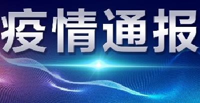 襄阳市新型冠状病毒肺炎疫情通报（73）