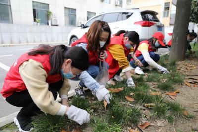 襄州区卫健局：开展“爱国卫生 清扫清洁”志愿服务活动