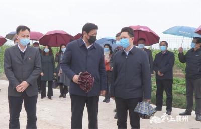 全市村庄清洁行动春季战役暨生猪生产现场会在襄州区召开