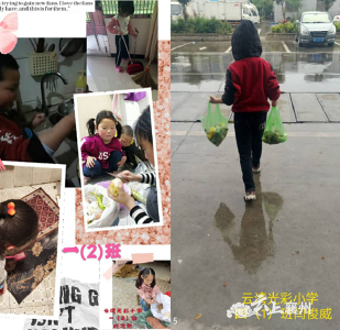 襄州区张湾街道云湾光彩小学：开展“居家劳动养成教育”活动系列二