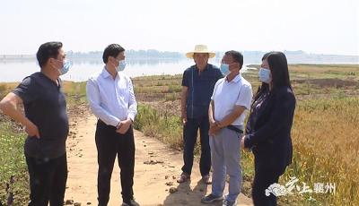 市领导到襄州区调研红水河水库工作  