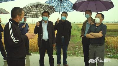 湖北省农业农村厅领导到襄州调研现代农业发展情况
