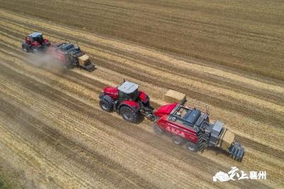 襄州：152万亩小麦开镰收割  10万农机鏖战“三夏”生产