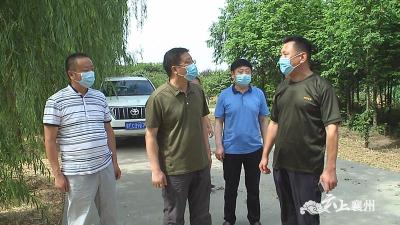 襄州区领导调研峪山镇项目建设情况