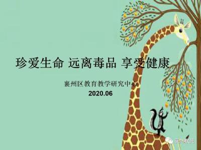 珍爱生命 远离毒品 享受健康——襄州教育系统宣传教育课件