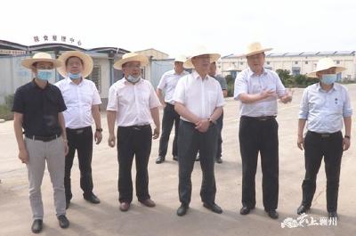 市领导到襄州区调研小麦收购、储备工作