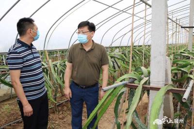 刘明锋：创新发展模式 强化扶贫产业 为脱贫攻坚和乡村振兴提供有力支撑