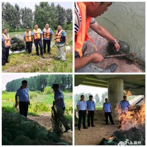 襄州区水利局：扎实推进汉江流域违法捕捞工作