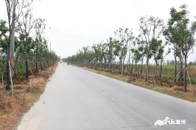 襄州区将投资17860万元建设300公里美丽乡村公路