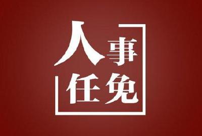 襄州区人大常委会最新人事任命