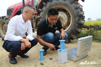 襄州1万亩水稻绿色高效标准化生产基地测产验收