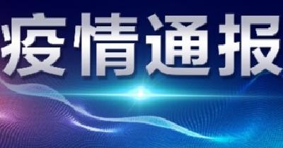 襄阳市新型冠状病毒肺炎疫情通报（257）