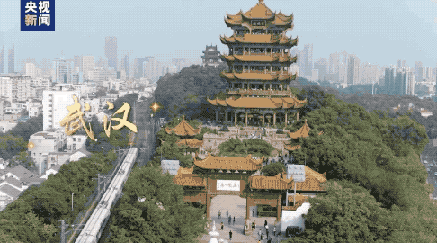 这首歌，在假期刷屏了！