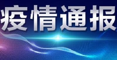 襄阳市新型冠状病毒肺炎疫情通报（256）