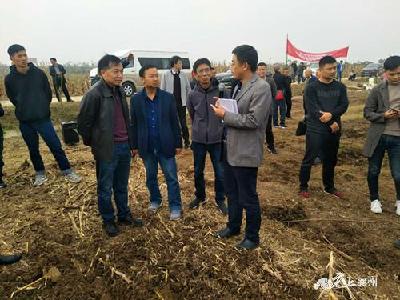 旱茬小麦新型少耕条播技术观摩会在襄州召开